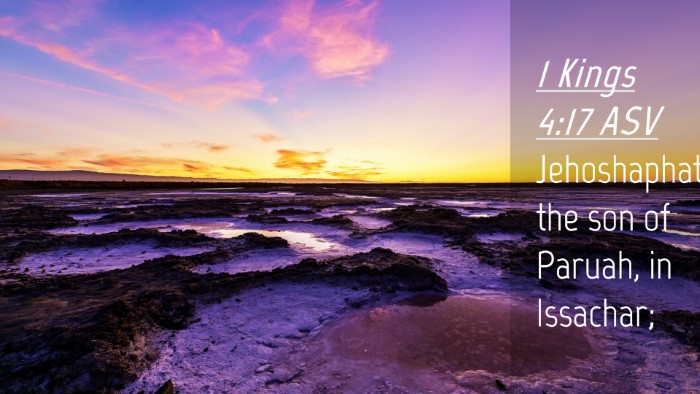 Picture 04 - 1 Kings 4:17 ASV Desktop Wallpaper - Jehoshaphat the son of Paruah, in - Desktop Bible Verse Wallpaper