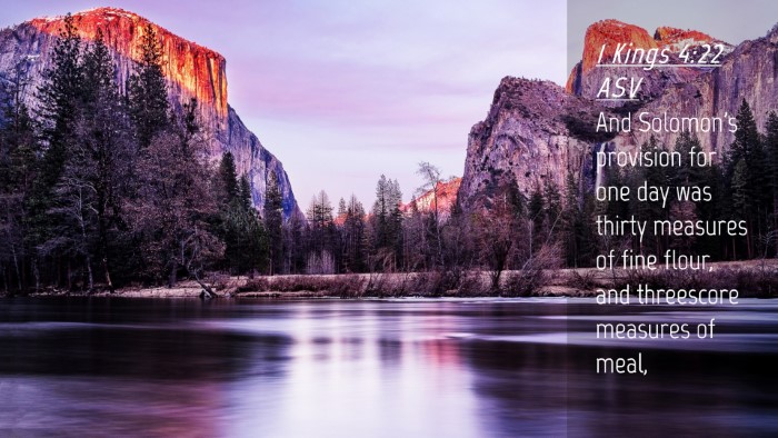 Picture 04 - 1 Kings 4:22 ASV Desktop Wallpaper - And Solomon's provision for one day was thirty - Desktop Bible Verse Wallpaper