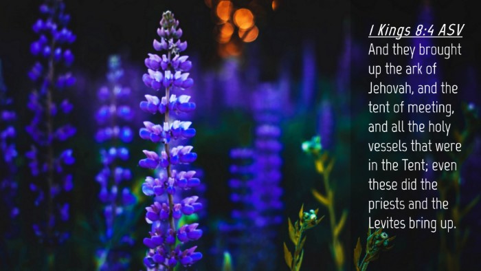 Picture 04 - 1 Kings 8:4 ASV Desktop Wallpaper - And they brought up the ark of Jehovah, and the - Desktop Bible Verse Wallpaper