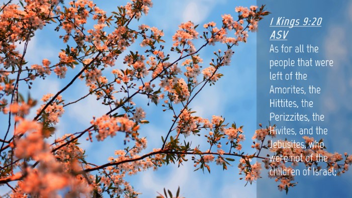 Picture 04 - 1 Kings 9:20 ASV Desktop Wallpaper - As for all the people that were left of the - Desktop Bible Verse Wallpaper