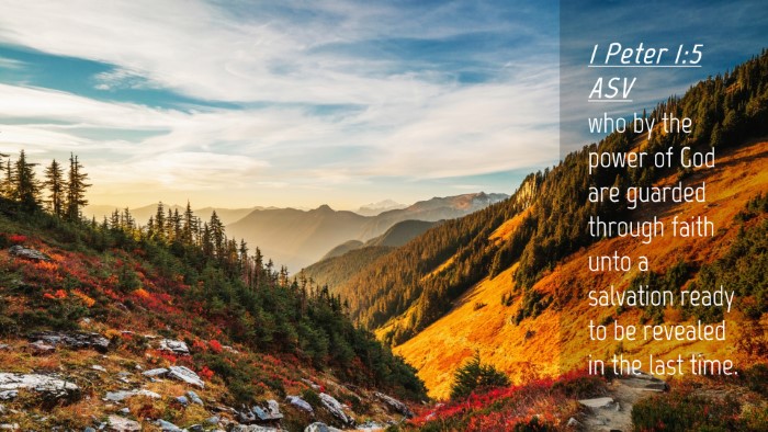 Picture 04 - 1 Peter 1:5 ASV Desktop Wallpaper - who by the power of God are guarded through faith - Desktop Bible Verse Wallpaper