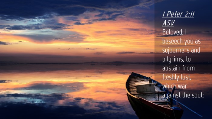 Picture 04 - 1 Peter 2:11 ASV Desktop Wallpaper - Beloved, I beseech you as sojourners and - Desktop Bible Verse Wallpaper