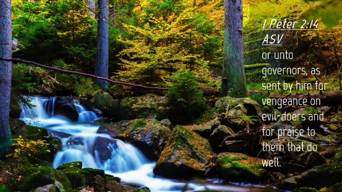 Picture 04 - 1 Peter 2:14 ASV Desktop Wallpaper - or unto governors, as sent by him for vengeance - Desktop Bible Verse Wallpaper