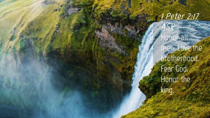 Picture 04 - 1 Peter 2:17 ASV Desktop Wallpaper - Honor all men. Love the brotherhood. Fear God. - Desktop Bible Verse Wallpaper
