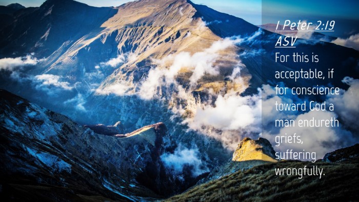 Picture 04 - 1 Peter 2:19 ASV Desktop Wallpaper - For this is acceptable, if for conscience toward - Desktop Bible Verse Wallpaper