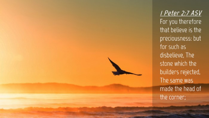 Picture 04 - 1 Peter 2:7 ASV Desktop Wallpaper - For you therefore that believe is the - Desktop Bible Verse Wallpaper