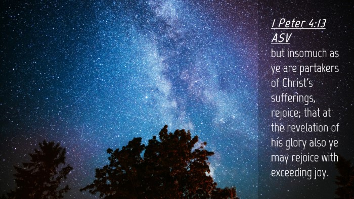Picture 04 - 1 Peter 4:13 ASV Desktop Wallpaper - but insomuch as ye are partakers of Christ's - Desktop Bible Verse Wallpaper