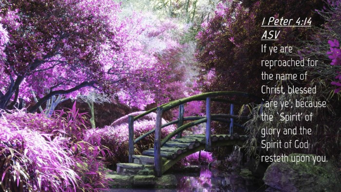 Picture 04 - 1 Peter 4:14 ASV Desktop Wallpaper - If ye are reproached for the name of Christ, - Desktop Bible Verse Wallpaper