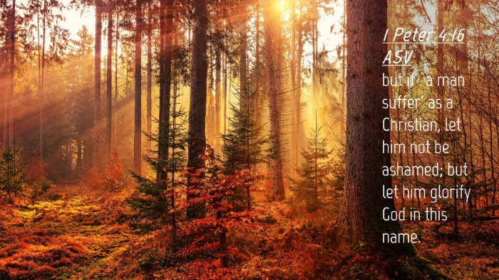 Picture 04 - 1 Peter 4:16 ASV Desktop Wallpaper - but if `a man suffer' as a Christian, let him not - Desktop Bible Verse Wallpaper