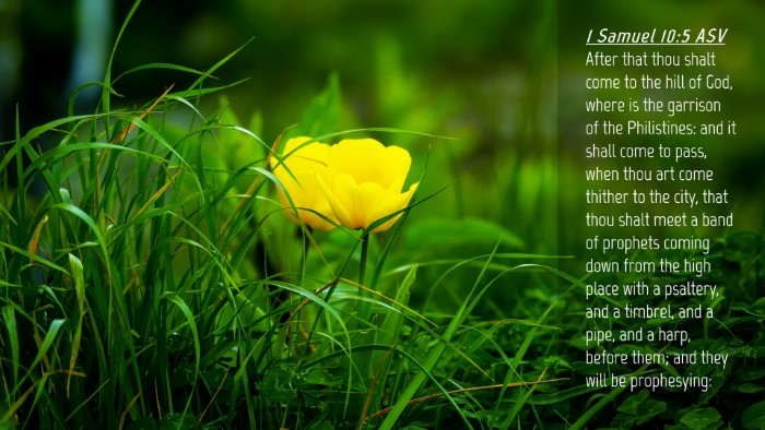 Picture 04 - 1 Samuel 10:5 ASV Desktop Wallpaper - After that thou shalt come to the hill of God, - Desktop Bible Verse Wallpaper