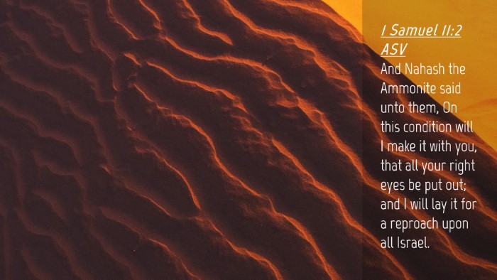 Picture 04 - 1 Samuel 11:2 ASV Desktop Wallpaper - And Nahash the Ammonite said unto them, On this - Desktop Bible Verse Wallpaper