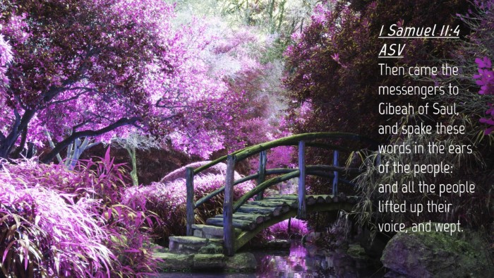 Picture 04 - 1 Samuel 11:4 ASV Desktop Wallpaper - Then came the messengers to Gibeah of Saul, and - Desktop Bible Verse Wallpaper