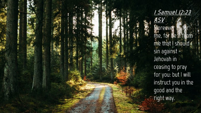 Picture 04 - 1 Samuel 12:23 ASV Desktop Wallpaper - Moreover as for me, far be it from me that I - Desktop Bible Verse Wallpaper