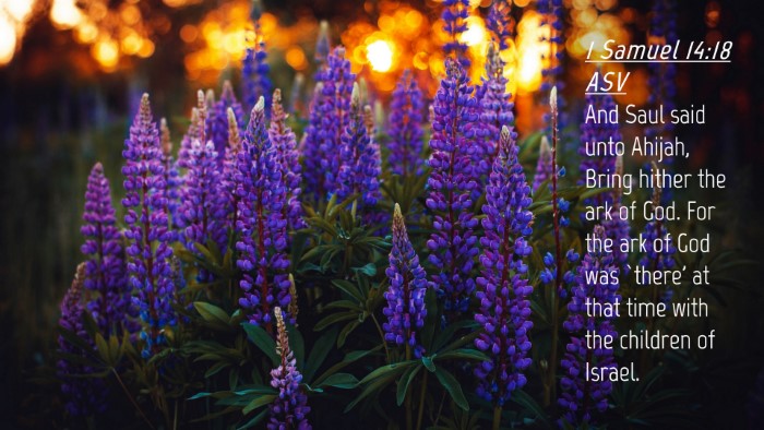 Picture 04 - 1 Samuel 14:18 ASV Desktop Wallpaper - And Saul said unto Ahijah, Bring hither the ark - Desktop Bible Verse Wallpaper
