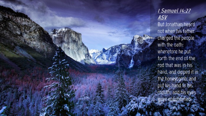 Picture 04 - 1 Samuel 14:27 ASV Desktop Wallpaper - But Jonathan heard not when his father charged - Desktop Bible Verse Wallpaper