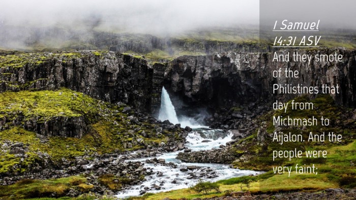Picture 04 - 1 Samuel 14:31 ASV Desktop Wallpaper - And they smote of the Philistines that day from - Desktop Bible Verse Wallpaper