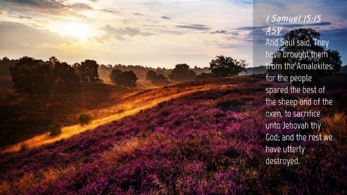 Picture 04 - 1 Samuel 15:15 ASV Desktop Wallpaper - And Saul said, They have brought them from the - Desktop Bible Verse Wallpaper