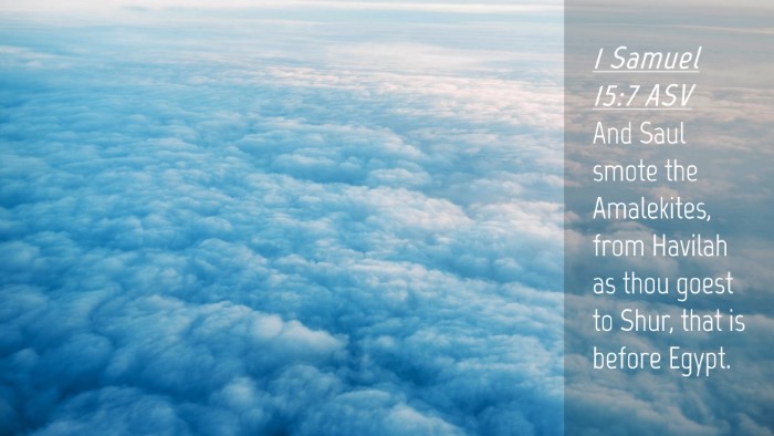 Picture 04 - 1 Samuel 15:7 ASV Desktop Wallpaper - And Saul smote the Amalekites, from Havilah as - Desktop Bible Verse Wallpaper