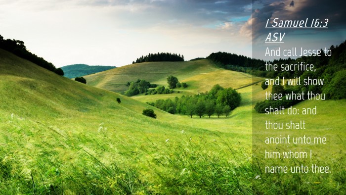 Picture 04 - 1 Samuel 16:3 ASV Desktop Wallpaper - And call Jesse to the sacrifice, and I will show - Desktop Bible Verse Wallpaper