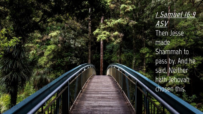 Picture 04 - 1 Samuel 16:9 ASV Desktop Wallpaper - Then Jesse made Shammah to pass by. And he said, - Desktop Bible Verse Wallpaper