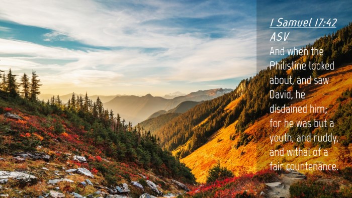 Picture 04 - 1 Samuel 17:42 ASV Desktop Wallpaper - And when the Philistine looked about, and saw - Desktop Bible Verse Wallpaper