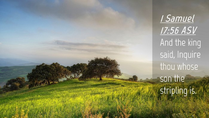 Picture 04 - 1 Samuel 17:56 ASV Desktop Wallpaper - And the king said, Inquire thou whose son the - Desktop Bible Verse Wallpaper