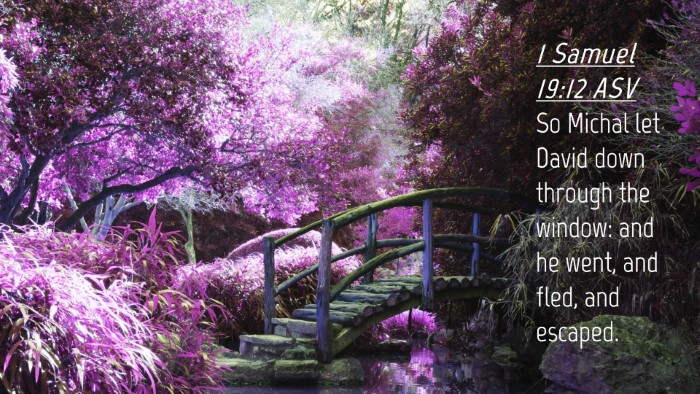 Picture 04 - 1 Samuel 19:12 ASV Desktop Wallpaper - So Michal let David down through the window: and - Desktop Bible Verse Wallpaper