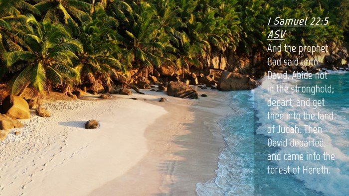 Picture 04 - 1 Samuel 22:5 ASV Desktop Wallpaper - And the prophet Gad said unto David, Abide not in - Desktop Bible Verse Wallpaper