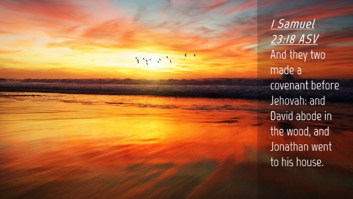 Picture 04 - 1 Samuel 23:18 ASV Desktop Wallpaper - And they two made a covenant before Jehovah: and - Desktop Bible Verse Wallpaper