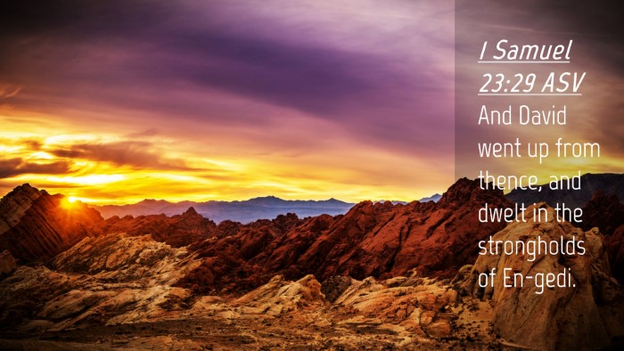Picture 04 - 1 Samuel 23:29 ASV Desktop Wallpaper - And David went up from thence, and dwelt in the - Desktop Bible Verse Wallpaper