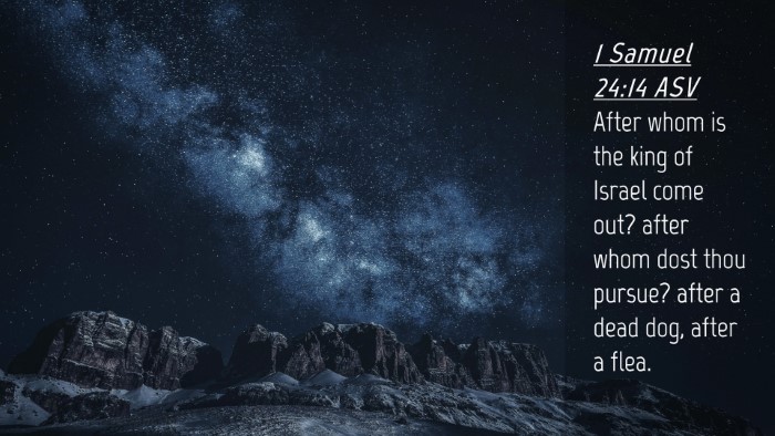 Picture 04 - 1 Samuel 24:14 ASV Desktop Wallpaper - After whom is the king of Israel come out? after - Desktop Bible Verse Wallpaper