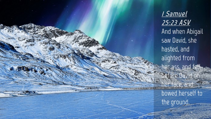 Picture 04 - 1 Samuel 25:23 ASV Desktop Wallpaper - And when Abigail saw David, she hasted, and - Desktop Bible Verse Wallpaper