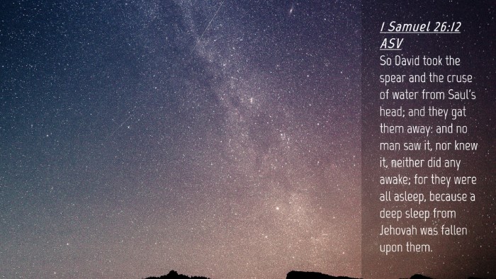 Picture 04 - 1 Samuel 26:12 ASV Desktop Wallpaper - So David took the spear and the cruse of water - Desktop Bible Verse Wallpaper