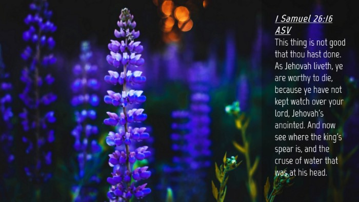 Picture 04 - 1 Samuel 26:16 ASV Desktop Wallpaper - This thing is not good that thou hast done. As - Desktop Bible Verse Wallpaper