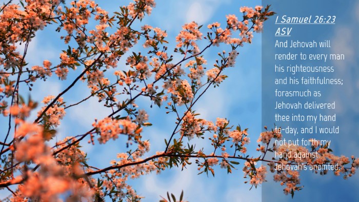 Picture 04 - 1 Samuel 26:23 ASV Desktop Wallpaper - And Jehovah will render to every man his - Desktop Bible Verse Wallpaper