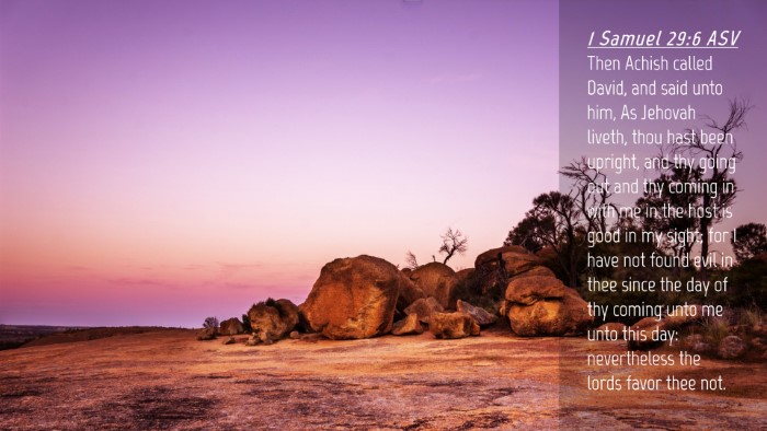 Picture 04 - 1 Samuel 29:6 ASV Desktop Wallpaper - Then Achish called David, and said unto him, As - Desktop Bible Verse Wallpaper