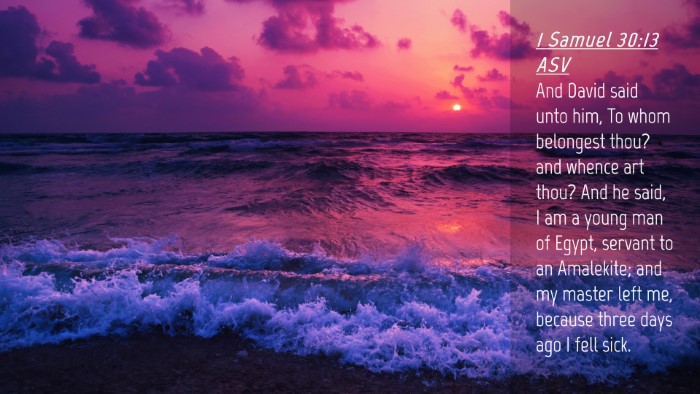 Picture 04 - 1 Samuel 30:13 ASV Desktop Wallpaper - And David said unto him, To whom belongest thou? - Desktop Bible Verse Wallpaper