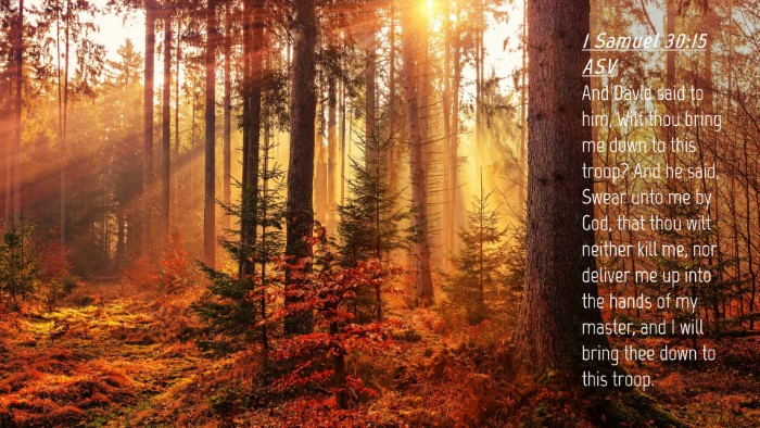 Picture 04 - 1 Samuel 30:15 ASV Desktop Wallpaper - And David said to him, Wilt thou bring me down to - Desktop Bible Verse Wallpaper