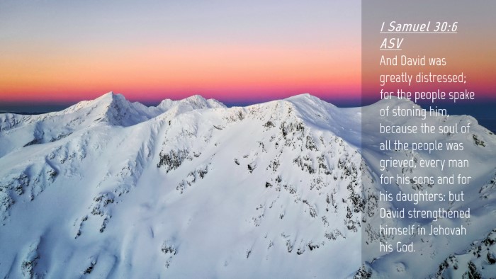 Picture 04 - 1 Samuel 30:6 ASV Desktop Wallpaper - And David was greatly distressed; for the people - Desktop Bible Verse Wallpaper