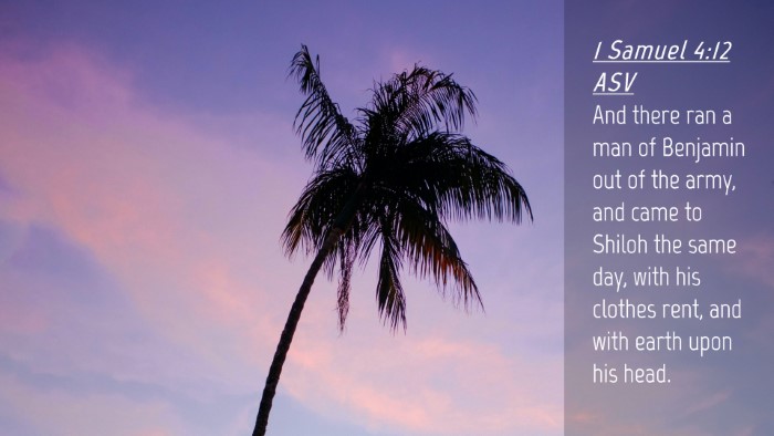 Picture 04 - 1 Samuel 4:12 ASV Desktop Wallpaper - And there ran a man of Benjamin out of the army, - Desktop Bible Verse Wallpaper