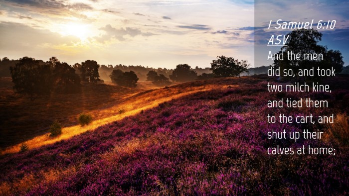 Picture 04 - 1 Samuel 6:10 ASV Desktop Wallpaper - And the men did so, and took two milch kine, and - Desktop Bible Verse Wallpaper