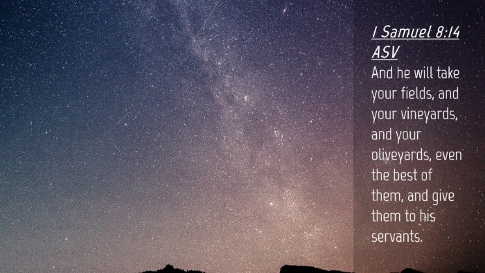 Picture 04 - 1 Samuel 8:14 ASV Desktop Wallpaper - And he will take your fields, and your vineyards, - Desktop Bible Verse Wallpaper