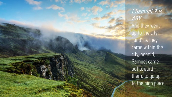 Picture 04 - 1 Samuel 9:14 ASV Desktop Wallpaper - And they went up to the city; `and' as they came - Desktop Bible Verse Wallpaper