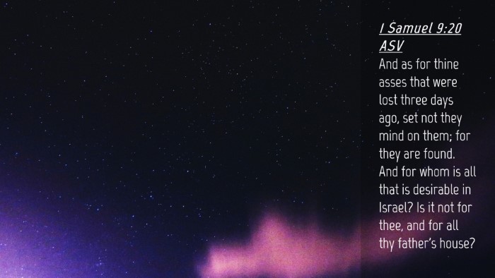 Picture 04 - 1 Samuel 9:20 ASV Desktop Wallpaper - And as for thine asses that were lost three days - Desktop Bible Verse Wallpaper
