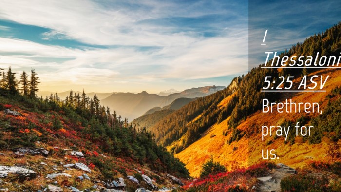 Picture 04 - 1 Thessalonians 5:25 ASV Desktop Wallpaper - Brethren, pray for - Desktop Bible Verse Wallpaper