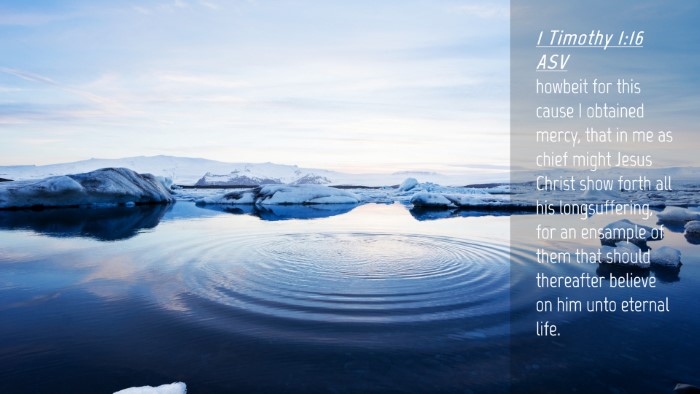 Picture 04 - 1 Timothy 1:16 ASV Desktop Wallpaper - howbeit for this cause I obtained mercy, that in - Desktop Bible Verse Wallpaper