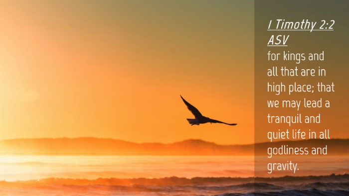 Picture 04 - 1 Timothy 2:2 ASV Desktop Wallpaper - for kings and all that are in high place; that we - Desktop Bible Verse Wallpaper