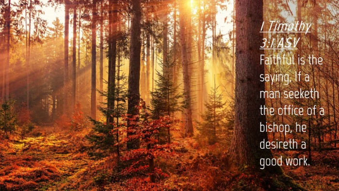 Picture 04 - 1 Timothy 3:1 ASV Desktop Wallpaper - Faithful is the saying, If a man seeketh the - Desktop Bible Verse Wallpaper