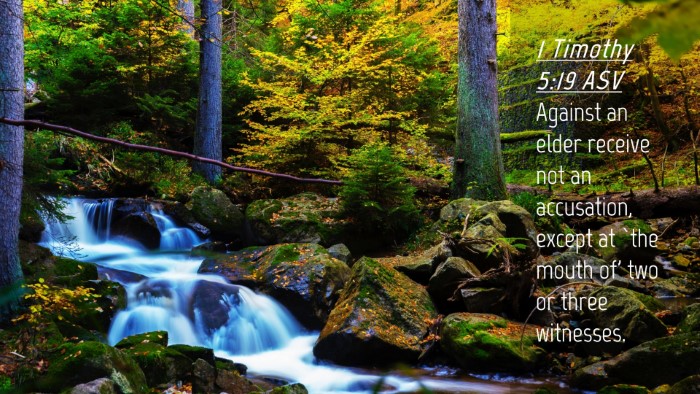Picture 04 - 1 Timothy 5:19 ASV Desktop Wallpaper - Against an elder receive not an accusation, - Desktop Bible Verse Wallpaper