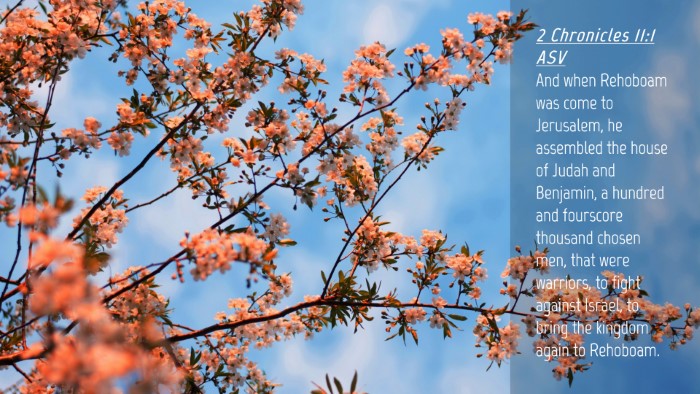 Picture 04 - 2 Chronicles 11:1 ASV Desktop Wallpaper - And when Rehoboam was come to Jerusalem, he - Desktop Bible Verse Wallpaper